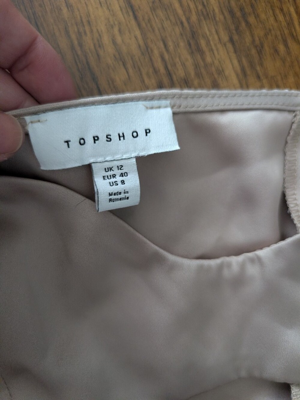 Topshop Blush-Tone Lined Dress